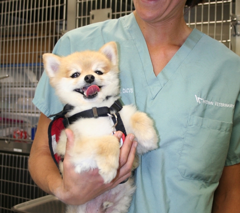 Bulger Veterinary Hosptial - North Andover, MA