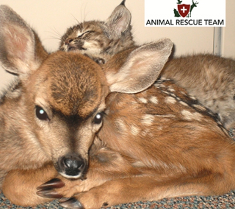 Animal Wildlife Rescue Team, Inc. - Solvang, CA. Saving ones who need it most.