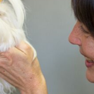 Sunvet Animal Wellness Clinic - Asheville, NC