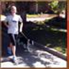 Denver Dog Joggers gallery