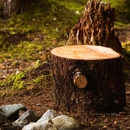 Cooper's Tree Service - Tree Service