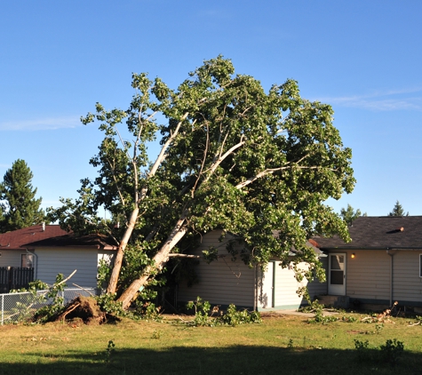 Joles Tree Service - Baton Rouge, LA