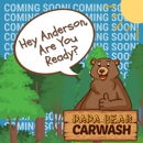 Papa Bear Car Wash - Car Wash