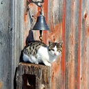 Adams Animal Care
