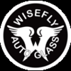 Wisefly Auto Glass gallery