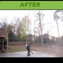 Meridian Tree Service Atl - Stump Removal & Grinding
