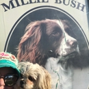 Millie Bush Dog Park - Dog Parks