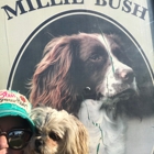 Millie Bush Dog Park