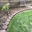 Dreamscapes Landscaping - Lawn Maintenance