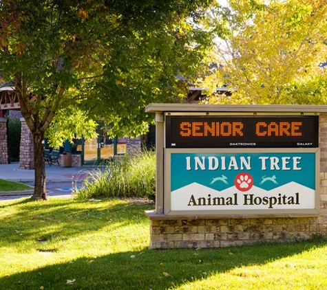 Indian Tree Animal Hospital - Arvada, CO