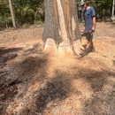 Stump Grinding Services
