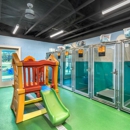 Pet Paradise Pooler - Hostels