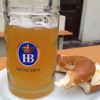 Hofbrau Beer Garden gallery