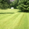 Blue Line Lawn Care gallery
