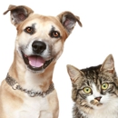 Boca Raton Concierge Pet & House Sitting - Pet Sitting & Exercising Services