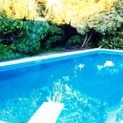 Gallery Image Number 5