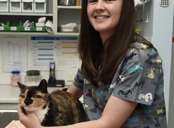 Cooper Street Veterinary Hospital - Cootamundra, NSW