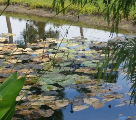 Zika X Misting Systems - Jupiter, FL