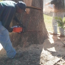 Green's tree aervice - Handyman Services