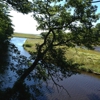 Rachel Carson National Wildlife Refuge gallery