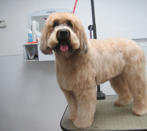 Bonejour Pet Grooming Salon - Barrington, IL