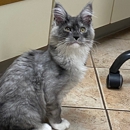 VCA Spooner Veterinary Hospital - Veterinarians