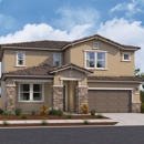 Beazer Homes Poppy Meadows - Real Estate Developers
