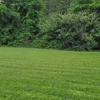 All Year Lawn & Landscape gallery