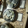 Fossil Cartel gallery