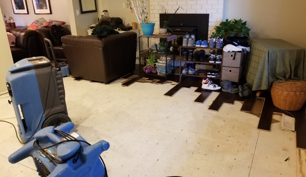 Roto-Rooter Plumbing & Water Cleanup - Lynnwood, WA. Torn up hardwood in living room to dry