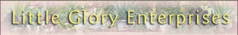 Little Glory Succulent Nursery - Nurseries - Retail