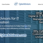 Cyber Advisors