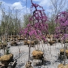 Kurtz Bros Mulch & Soils gallery
