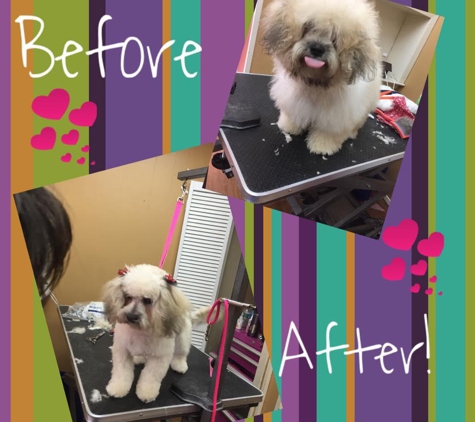 Furry N' Fabulous Pet Salon - Sayreville, NJ