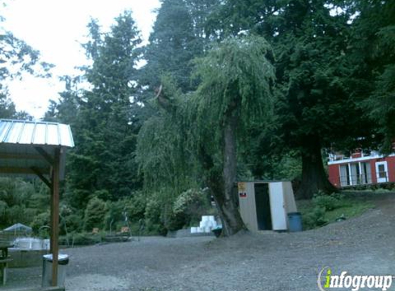 Gold Creek Trout Farm - Woodinville, WA