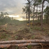 Panhandle Land & Development gallery