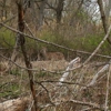 Tifft Nature Preserve gallery