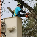 C&C Tree Services of Arkansas