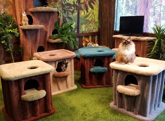 Hoodlum Steelworks - Henderson, NV. Quality cat furniture