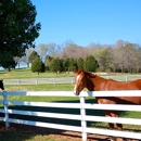 Mega Fence Company Repair & Installation