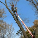 Liscombe Tree Service - Arborists