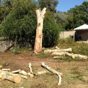 Gallery Image Number 6