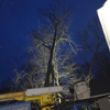 Ramsey & Family Tree Service gallery