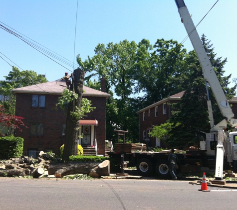 Nature Tree Service - Oak Ridge, NJ