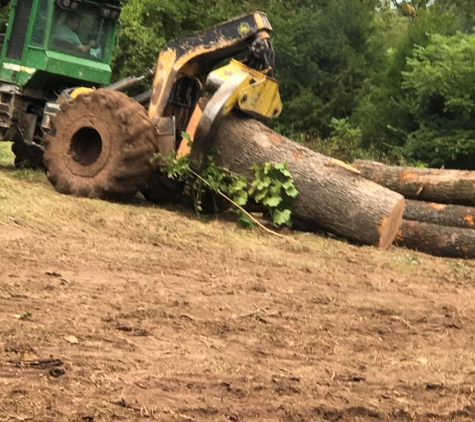 Wallis Logging - Salem, MO