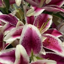 AAA Florist - Florists Supplies