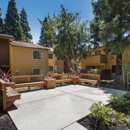 Mission Pines Apartments - Apartments
