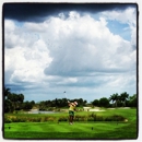 Hammock Bay Golf & Country Club - Golf Courses