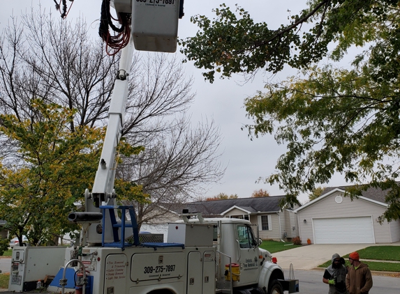 Embark Tree Removal - Bloomington, IL
