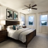 Oaks of Lawndale By Meritage Homes gallery